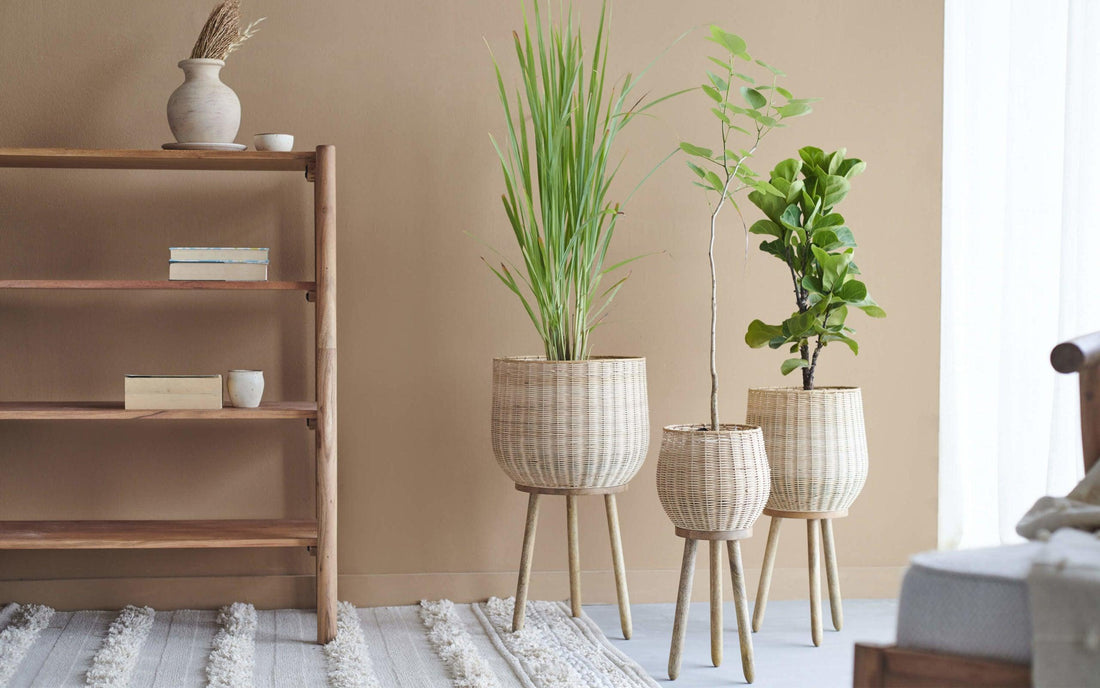 gallery-7_callam_cane_planter_small_buy_online-scaled_1100x